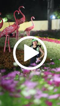 BIB:  <button type="button" onclick="openModal(27589925)" class="btn btn-primary btn-sm float-right" data-toggle="modal" data-target=".modal-high-quality">
                <i class="fa fa-download"></i> Download
                </button>